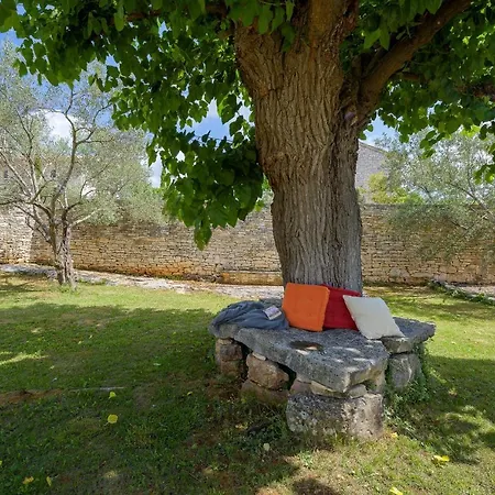 Terra Rossa Sveti Lovreč Pazenatički
